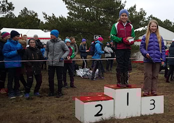 Danmarkstur 2017